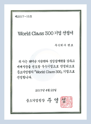World Class 300 기업 선정서
